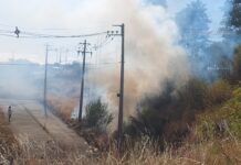 Alertan de potenciales focos de incendios en malezas cercanas a sectores de Pilauco y Kolbe