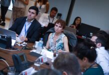 ¿Qué es un royalty? Conoce lo que significa el término y si aplica para las empresas forestales