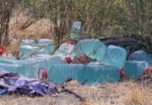 Investigan hallazgo de bidones cerca de incendios en Coronel: presumen que contenían acelerantes