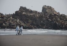 SAG confirma que se mantiene la temporada de caza en la Región de Los Lagos