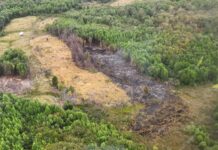 Se mantienen Alerta Amarilla en Quellón por incendio forestal en Isla Coldita