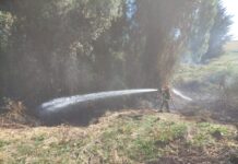 Formalizan a dos personas por quemas ilegales en Puerto Varas y Calbuco. Quedaron en libertad, pero con arraigo nacional