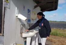 Inician sumario sanitario a empresa agrícola de Purranque tras fiscalización que detectó una serie de irregularidades