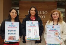 Casos relacionados al tifus de matorrales muestran un aumento en la región de Los Lagos