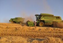 Gremios agrícolas llaman a detener las cosechas en horas de temperaturas extremas