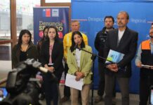 Cancelan Alerta Amarilla por simultaneidad de incendios forestales para la provincia de Osorno