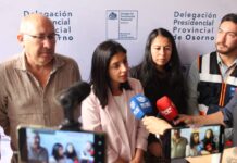 Delegada Presidencial confirma que los incendios forestales en Los Lagos no han afectado «ni a viviendas ni a personas»