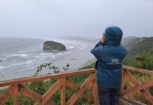 Gripe aviar y sus consecuencias tras la detección del primer caso en la región de Los Lagos