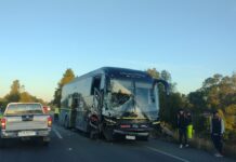 Dos fallecidos deja accidente entre un bus y un automóvil en la ruta 215