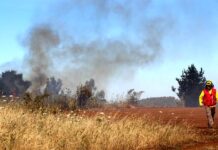 Consorcio Agrícola del Sur asegura que no se producirá escasez de alimentos producto de incendios forestales