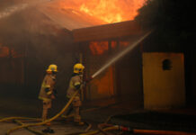 Balance por incendios: Senapred reporta 16 fallecidos, más de 250 siniestros y 80 en combate