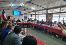 Recursos aprobados por el Consejo Regional permitirán la finalización de caminos no enrolados de Purranque