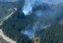 Corma acusa que intencionalidad de incendios llega al 90% en algunas comunas