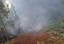 Gobierno confirmó detenciones en medio de emergencia por incendios forestales en Los Ríos