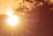 FEDEFRUTA: Familias de temporeros, pequeños agricultores, y fruticultores afectados por incendios forestales