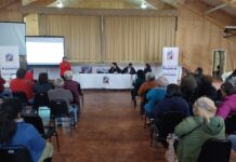 Ruta 215: en agosto comenzaría proceso de licitación para las obras de reparación tras tres años de abandono