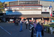 La sabrosa trastienda en el recinto Sago previa al repechaje del rodeo para el Champion de Chile: cuecas, aperos, caballos, camiones y mucha camaradería