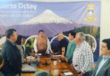 Concejo Municipal de Puerto Octay no insistirá en acusación contra ex edil por caso de extracción de áridos