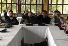 Consejeros destacan falta de propuestas de la Provincia de Osorno en sesión del CORE de este martes en Puerto Octay