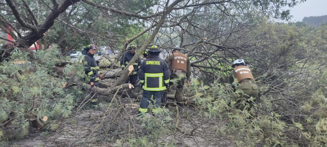 335413105_2097136473808891_7265584295447054665_n