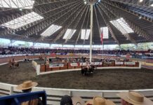 Repechaje centro sur de rodeo: listas las 27 colleras clasificadas al Champion de Chile