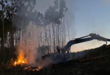 Autoridades condenan atentados de reivindicación mapuche en San Juan de la Costa