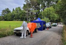 Hombre confiesa ser el autor de homicidio en La Picada – Puerto Octay