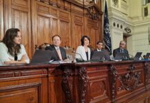 Eligen a Verónica Undurraga del PPD como presidenta de la Comisión Experta de nuevo proceso constitucional