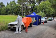 Encuentran cadáver en Puerto Octay: investigan posible homicidio