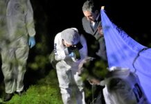 PDI investiga homicidio de un hombre de 51 años en la comuna de Calbuco