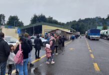 Turismo comercial al alza: Osorninos viajan a Argentina para adquirir productos