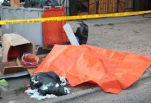 Decretan prisión preventiva para joven que habría descuartizado a su padrastro en Maipú