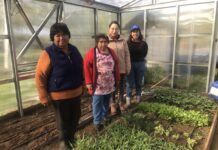 Llaman a agricultoras de la Región de Los Lagos a participar de concursos de riego exclusivo para mujeres