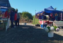 Feriantes de Puerto Octay mostraron su malestar por cambio de locación por parte del municipio