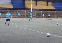 Concejo aprobó dineros para licitación del futuro recambio del pasto sintético en el Parque Schott