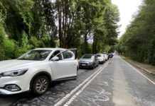 Más de 23 mil personas cruzaron el colapsado Paso Fronterizo Cardenal Samoré este fin de semana largo