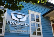 Investigan muerte de un hombre tras un postonazo en Puerto Octay