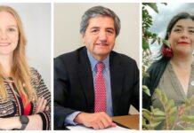 Revisa las primeras reacciones de los Consejeros Constitucionales electos en la región de Los Lagos
