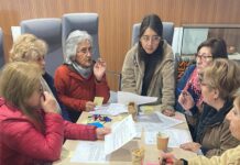 Construcción de una política regional de Los Lagos para adultos mayores: Salud será el tema central