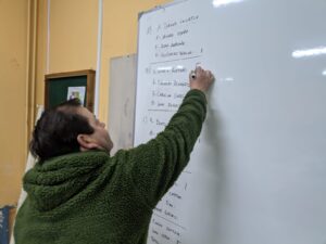 Comienza conteo de votos y primeras tendencias en región de Los Lagos