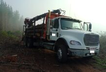 PDI detuvo a dos personas por la sustracción de maderas en la comuna de La Unión