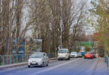 Este fin se semana se suspenderá el tránsito en el Puente San Pablo de Osorno por la poda de árboles