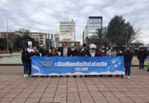 Producción sustentable y posicionamiento internacional son los desafíos del sector lácteo en el Día de la Leche