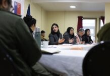 Gabinete Regional se desplegó en Puerto Octay entregando anuncios en materia de educación y seguridad