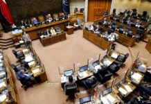 Senado aprueba proyecto que crea el Ministerio de Seguridad