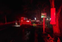 Un fallecido dejó un accidente de tránsito durante la noche de este viernes en la Ruta 215