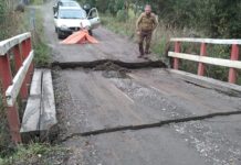 Suspenden tránsito tras colapso de puente de madera en camino rural de Río Negro