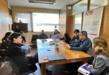 Solicitan intervención de Sernapesca por mermas de pesca artesanal ante presencia de lobos marinos en Los Lagos