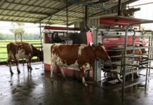 Comité de Desarrollo Productivo Regional abre la primera convocatoria “Activa Inversión” para Los Lagos
