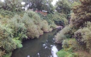 Día Mundial del Medio Ambiente: Cuidado del aire, suelo y ríos son los principales desafíos en Osorno